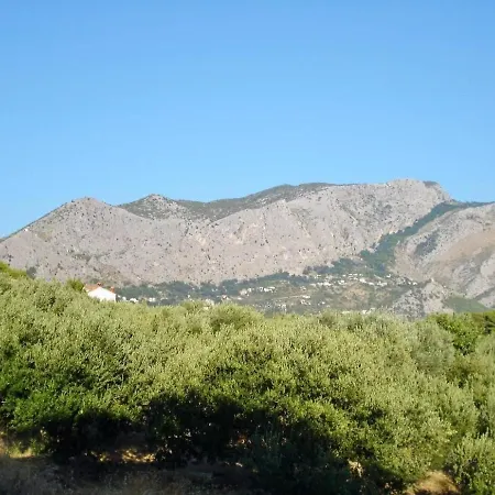 Studio Bagaric Apartament