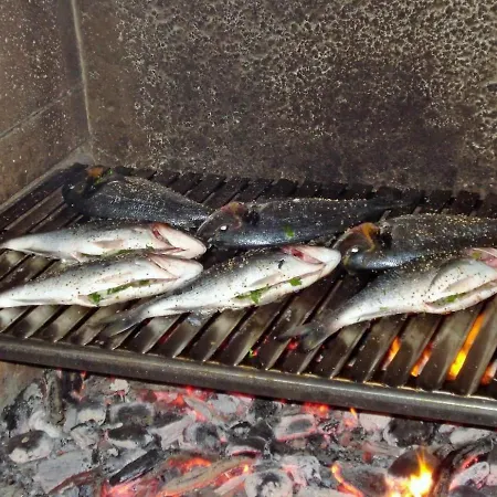 Studio Bagaric Apartament