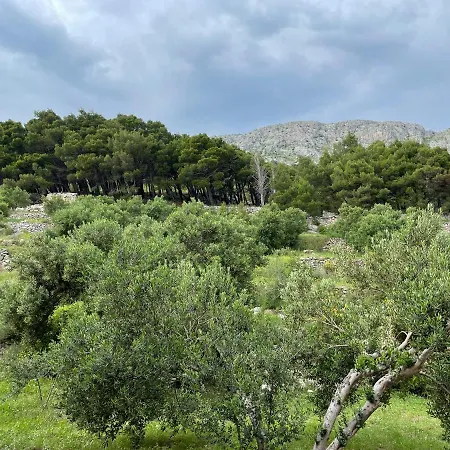 Studio Bagaric Apartament Duće