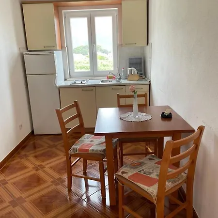 Studio Bagaric Apartament *