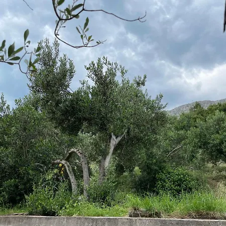 Studio Bagaric Apartament *