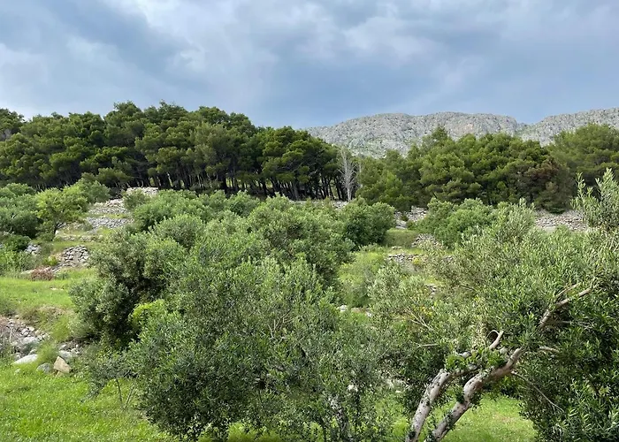 Studio Bagaric Appartement Duće