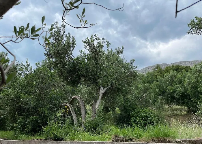 Studio Bagaric Appartement *